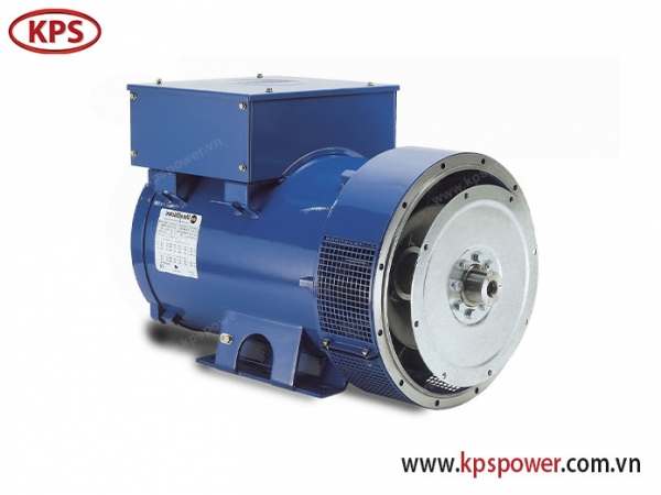 MarelliMotori Electric Motor