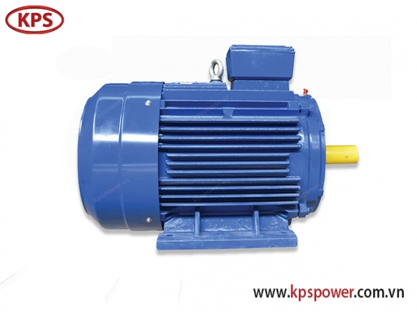 ĐỘNG CƠ ĐIỆN MARELLI MOTORI